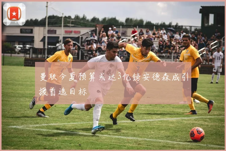 曼联今夏预算或达3亿镑安德森成引援首选目标